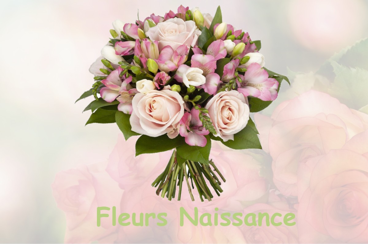 fleurs naissance BERNIERES-SUR-MER